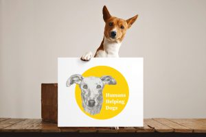Graphic design portfolio for Humans Helping Dogs | Platinum 99